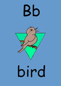 bird