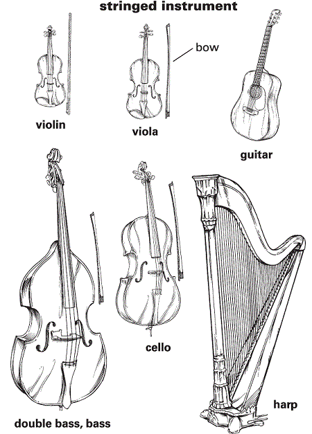 stringed instruments